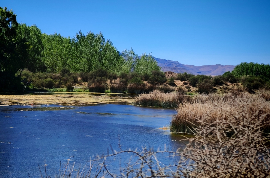 4 Bedroom Property for Sale in Middelburg Rural Eastern Cape